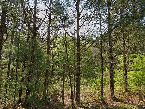 5th image of 0 Collard Valley Rd Lot 1