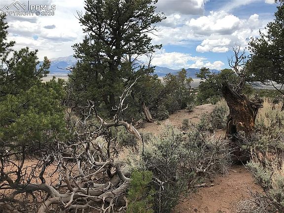 2nd image of 111 Mitchell Rd