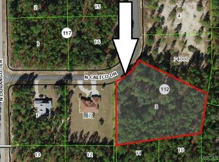 5677 N Calico Dr, Beverly Hills, FL 34465