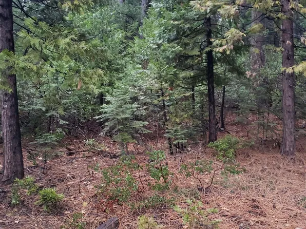 19863 Barton Hill Rd, Strawberry Valley, CA 95981