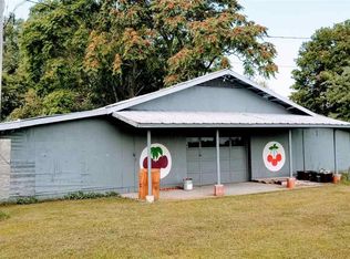 6849 E Us Highway 223, Palmyra, MI