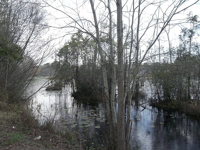 2nd image of 2960 Ithica Dr