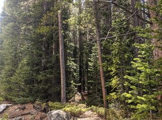 0 Silver Creek Rd, Idaho Springs, CO 80452