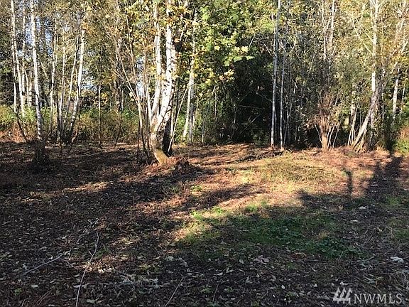 Corner of cleared area (About 1/2 acre)