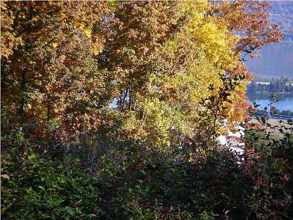 5th image of 16 Browbend Dr