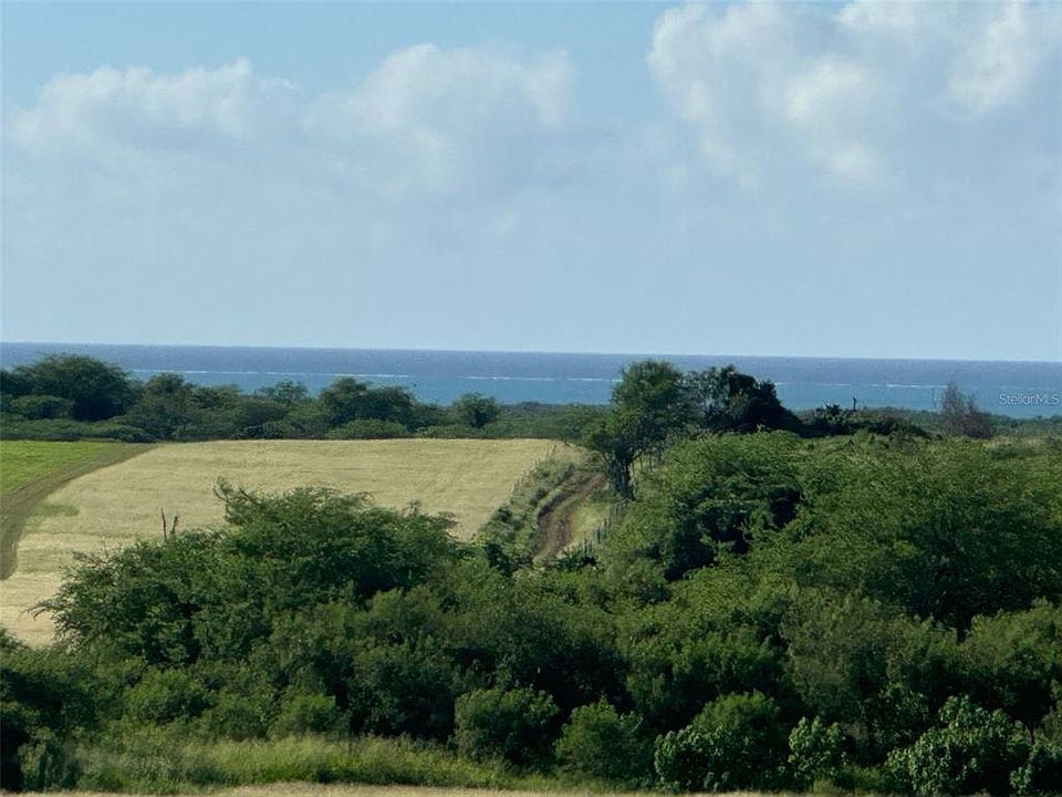 2nd image of Bo Llanos Costa Solar 7