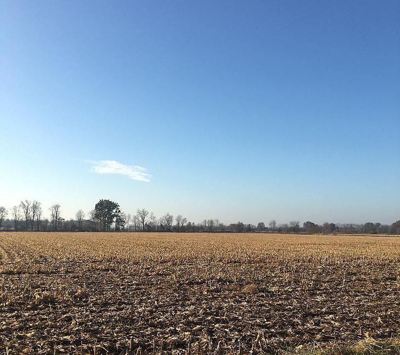 2nd image of Base Rd