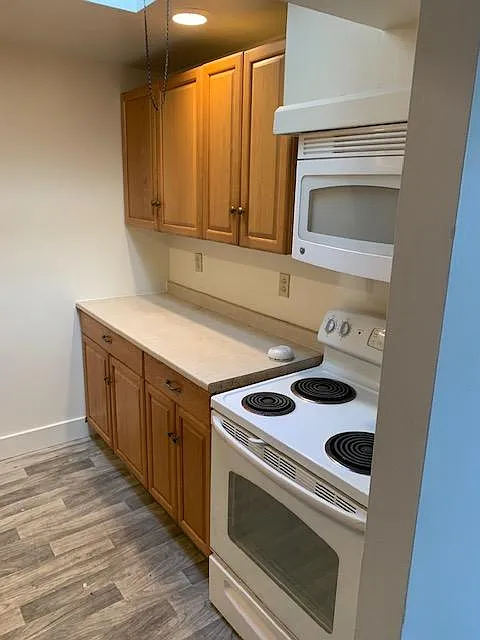 1 bed, 550 sqft, $1,100 — Photo 4