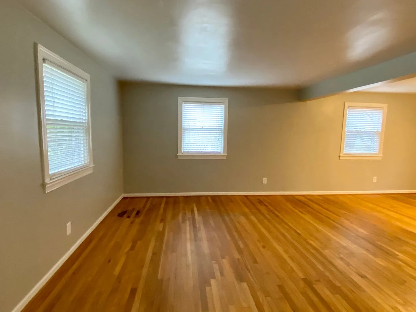 971 St. Mary's Street - For Rent — Photo 3