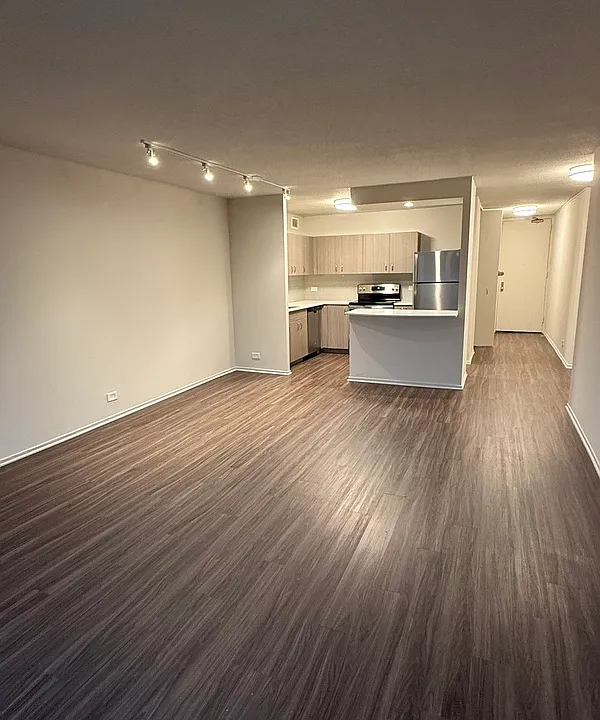 1154 N Dearborn St #510
