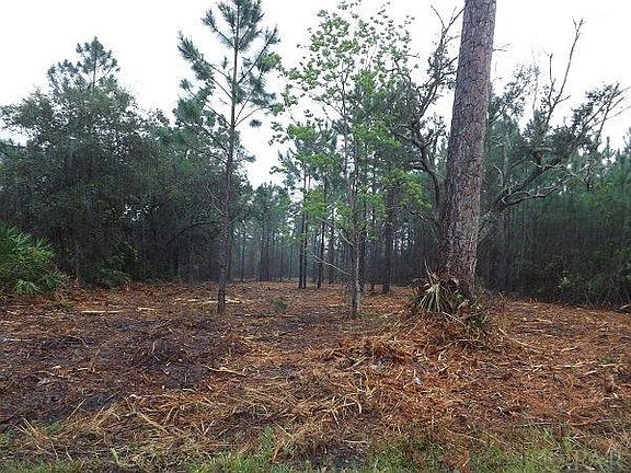 2nd image of 0 Laurel Dr