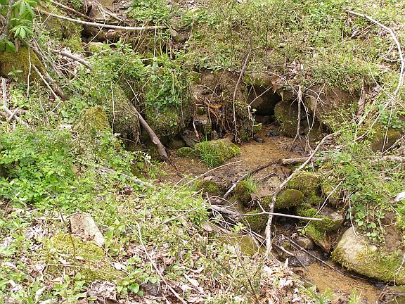 4th image of 1315 Caldwell Mountain Road #Lot 11