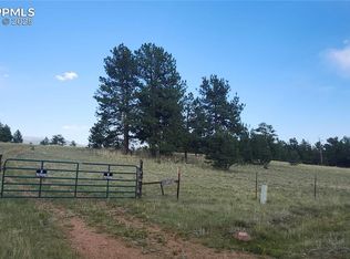 101 Ring Rd, Guffey, CO 80820