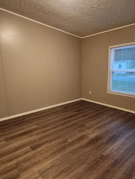 127 Rachel Cv — Photo 6