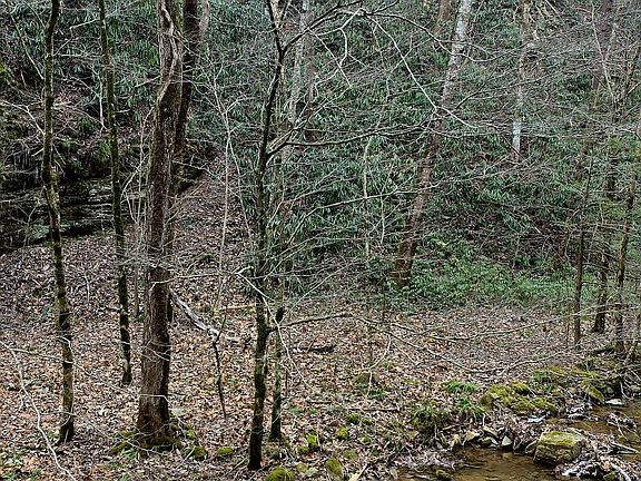 3rd image of N Clear Fork Rd