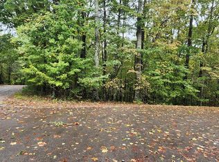 717 Mango Ln, Ellijay, GA 30540