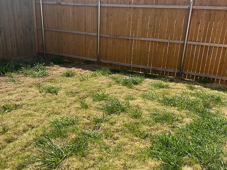 Pear Cir — Photo 19