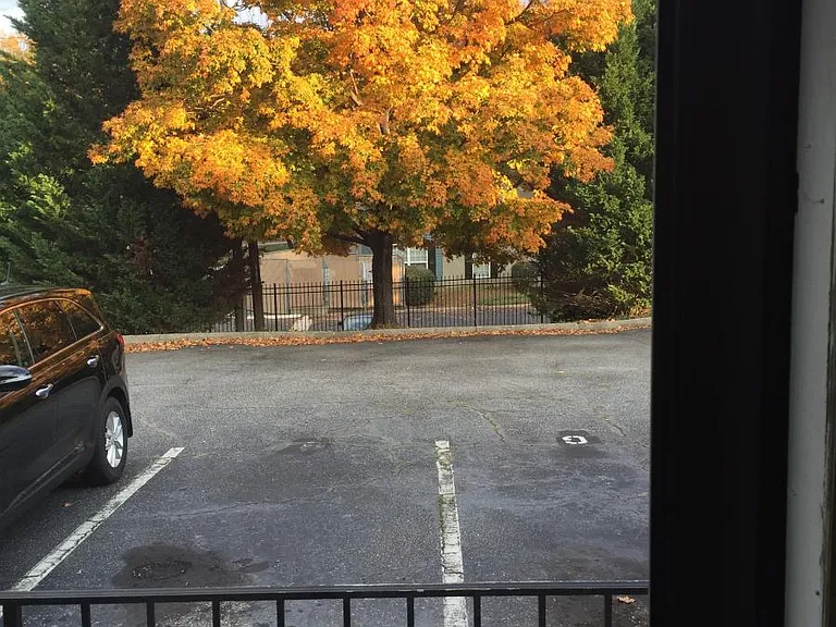 View out front door (fall).