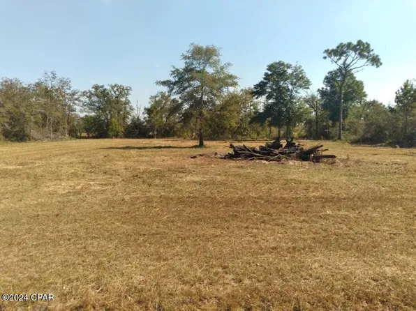 21002 NW Willow Bend Rd, Altha, FL 32421