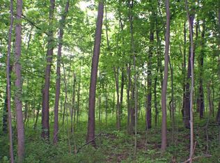 9370 Big Tree Rd, Hemlock, NY 14466