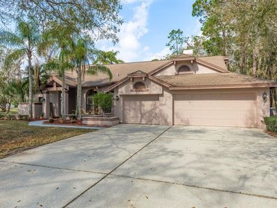 170 Greenhaven Cir, Oldsmar, FL, 34677