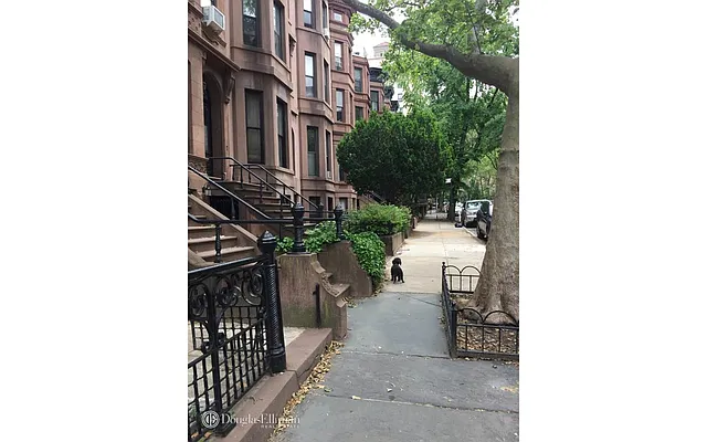 Rented by Douglas Elliman | media 22