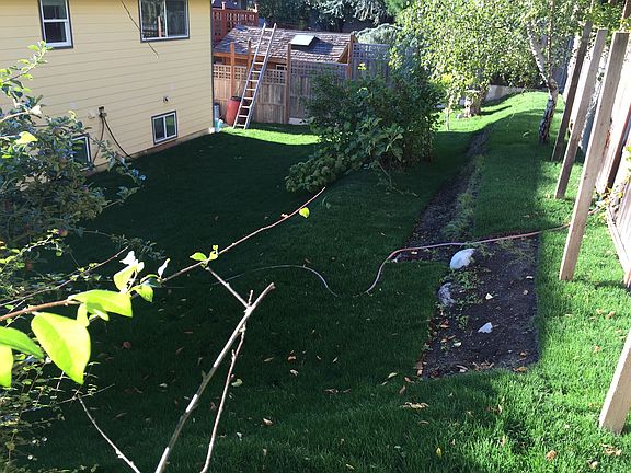 Backyard, fully fenced
