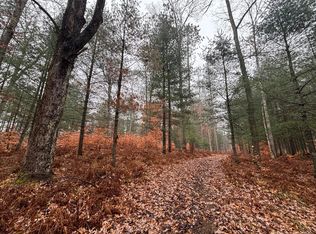 6270 S Woods Trl, Custer, MI 49405