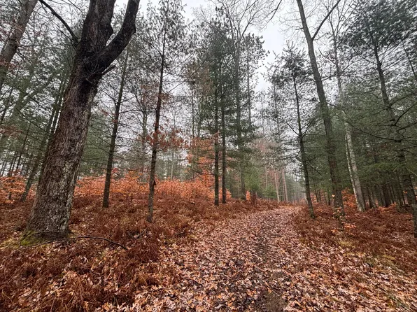 6270 S Woods Trl, Custer, MI 49405
