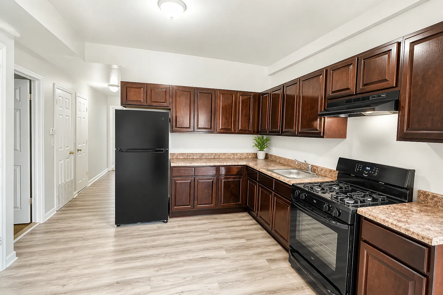 3 bed, 1.5 bath, $2,295 — Photo 1