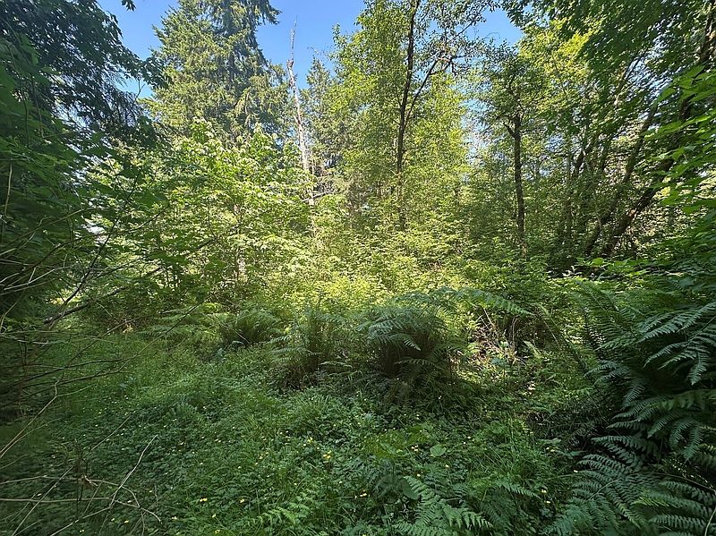 2nd image of 44 Acres McCary Road SW