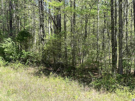 3rd image of Baywood Vista Dr #78