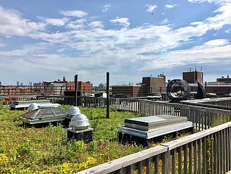 Rented by Manhattan Management LLC