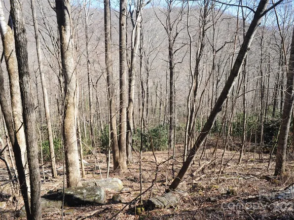 15 Wood Haven Ln #110, Black Mountain, NC 28711