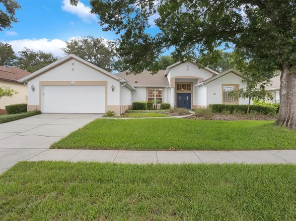 6029 Falconbridge Pl, Mount Dora, FL 32757