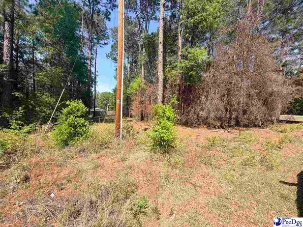 14 Frost Rd, Bennettsville, SC 29512