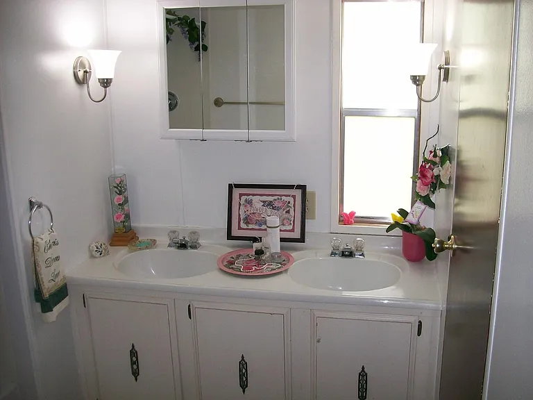 Double sink vanity in ample bath, full shower/tub