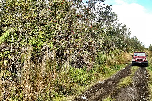 1st image of Noe Kuahiwi Lot 33