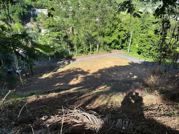 N/a Camino, Trujillo Alto, PR 00976