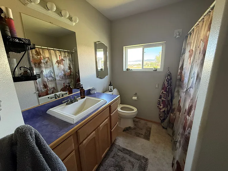 1206 Ambrose Creek Rd — Photo 33