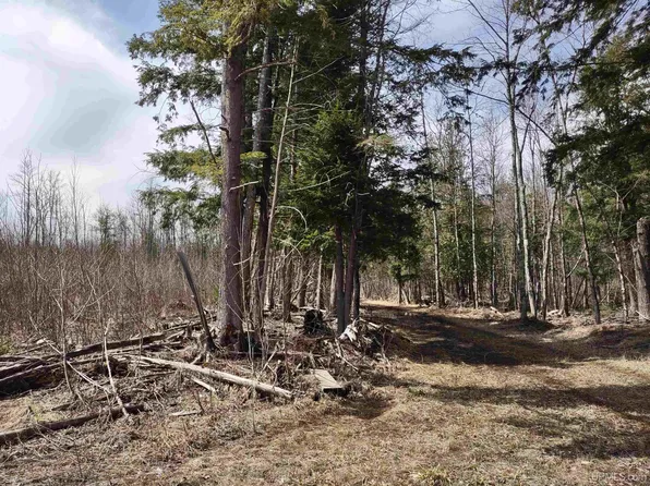 Off Ohman Rd, Lanse, MI 49946