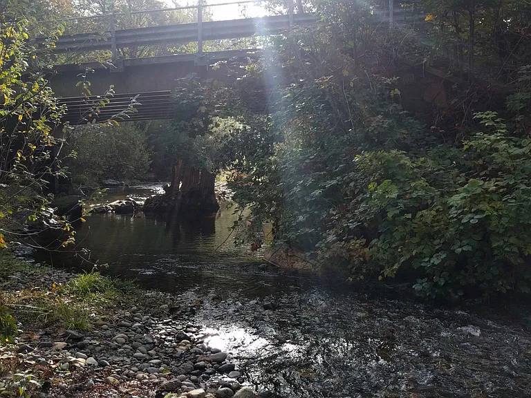 Creek in the summer looking South (street side) with bridge and culvert