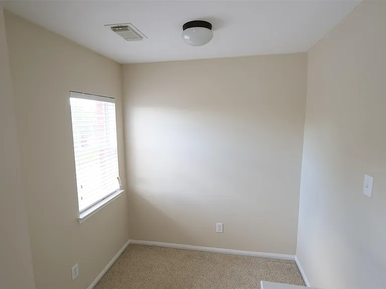 3827 Pine Forest Green Blvd — Photo 30