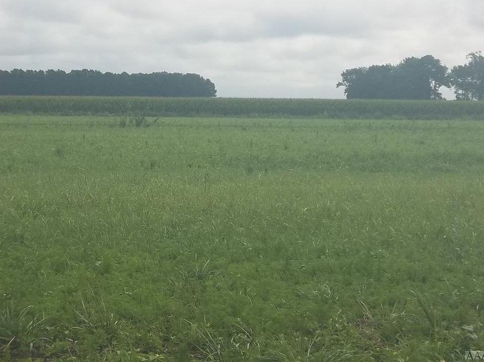 2nd image of Sandy Rd