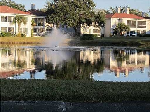 2nd image of 10342 Carrollwood Ln APT 161