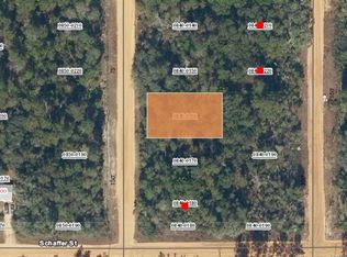 0 Creager Ave LOT 16, Interlachen, FL 32148