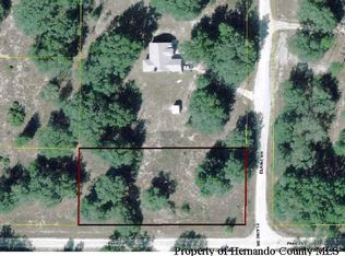 0 Elaine Dr, Webster, FL 33597