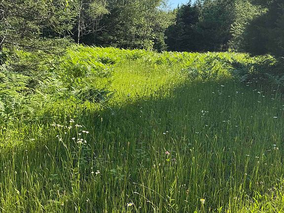 2nd image of County Road 601 Rd