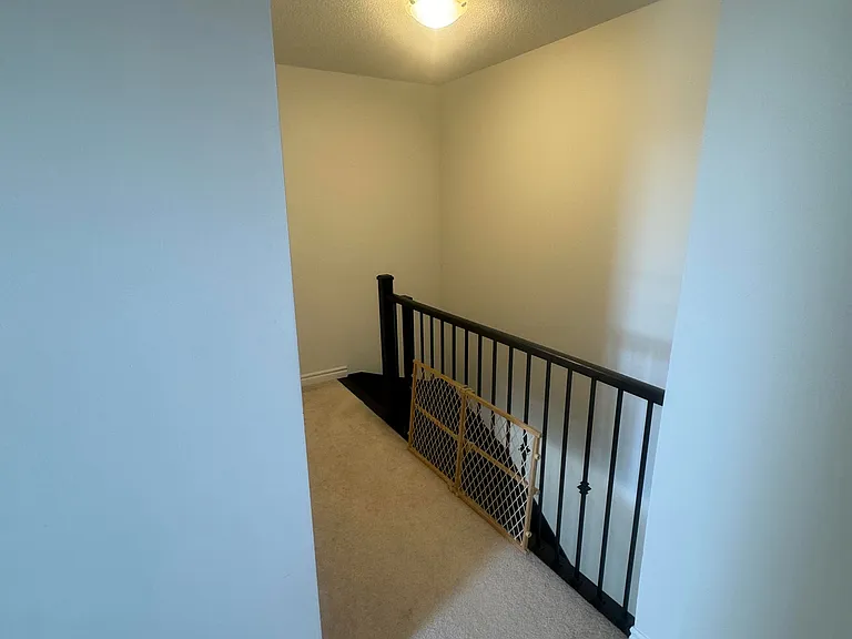 20 Mappin Way — Photo 12