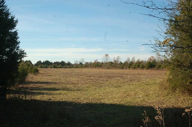 1st image of 16 Highway 99